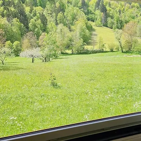 Apartment For 2, Big Windows, Nature, Balcony, 5min From Bled Bohinjska Bela